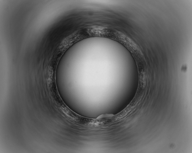 X0000098120760200804181520