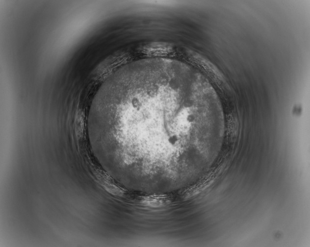 X0000098120761200804181520