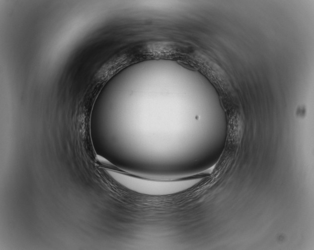 X0000098120762200804181520