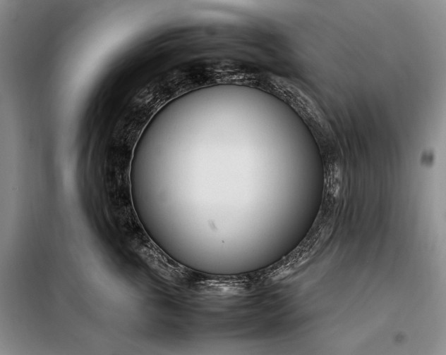 X0000098120763200804181520