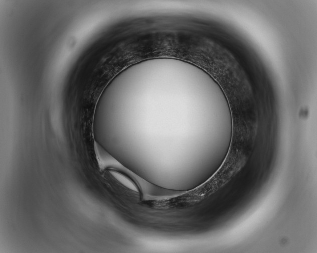 X0000098120766200804181520