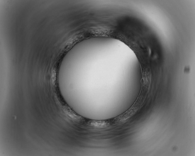 X0000098120767200804181520