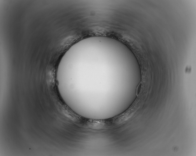 X0000098120768200804181520