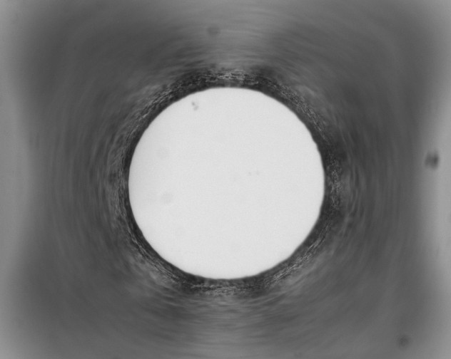 X0000098120769200804181520