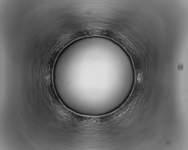 X0000098120771200804181519