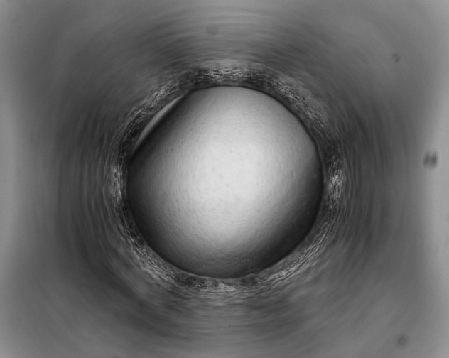 X0000098120772200804181519