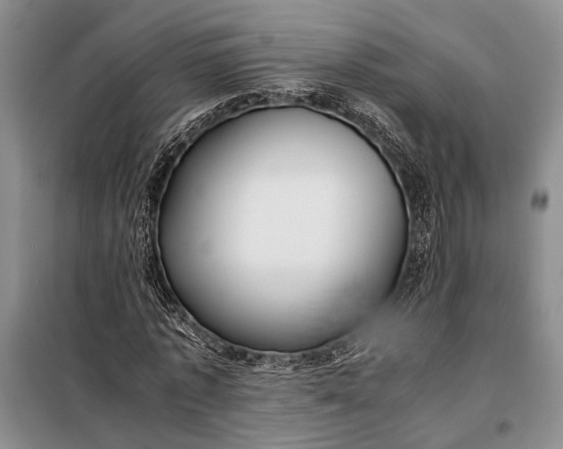 X0000098120773200804181519