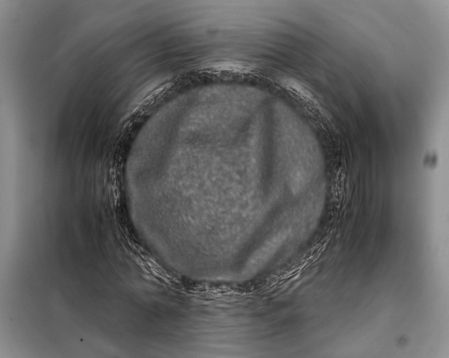 X0000098120774200804181519