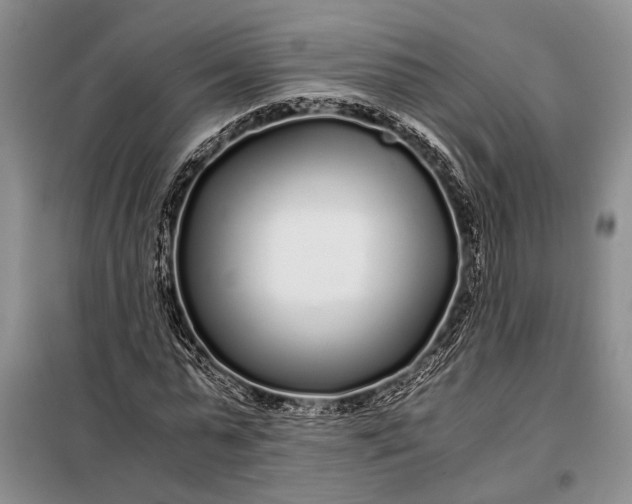 X0000098120775200804181519