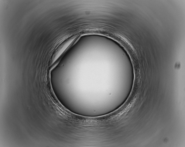 X0000098120777200804181519