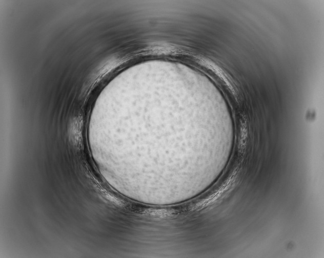 X0000098120778200804181519