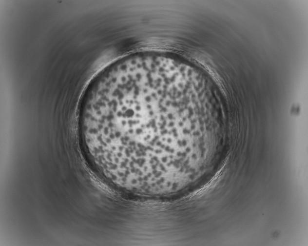 X0000098120779200804181519