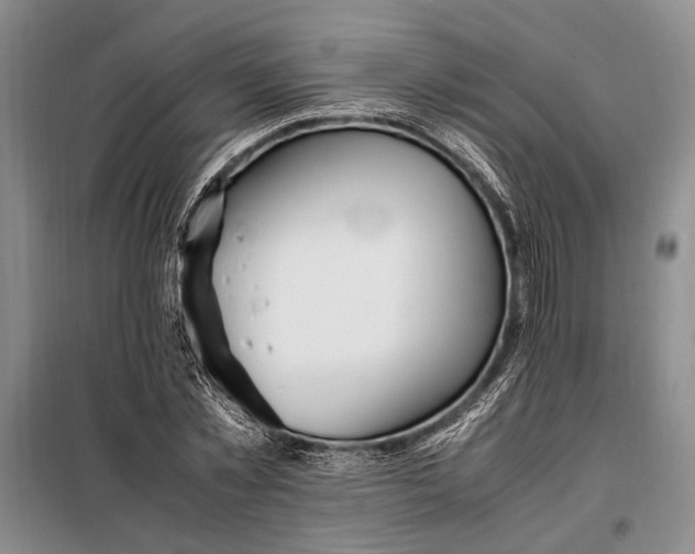 X0000098120781200804181519