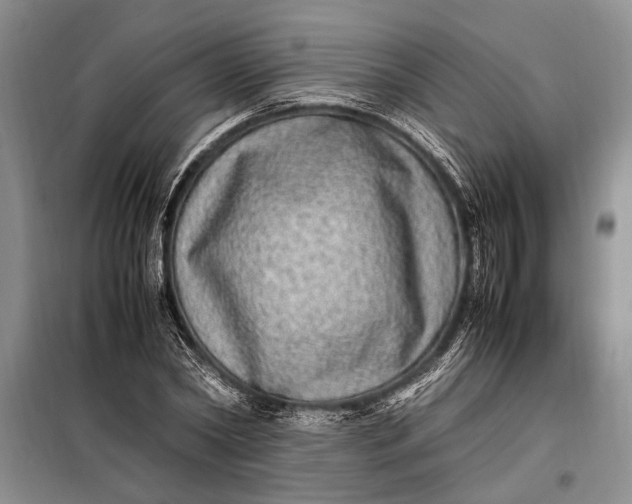X0000098120782200804181519