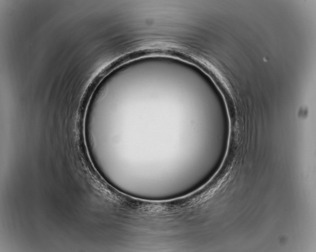X0000098120783200804181519