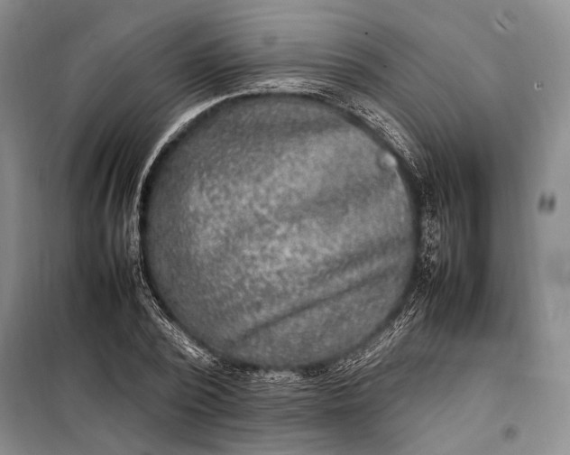 X0000098120784200804181519