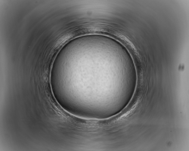 X0000098120785200804181519