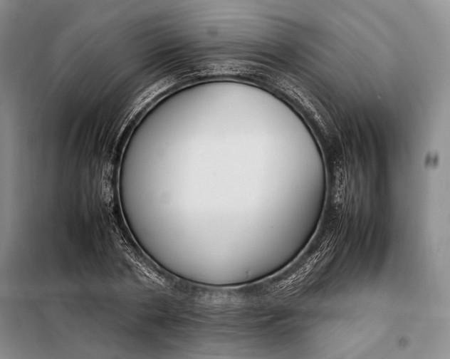 X0000098120786200804181519