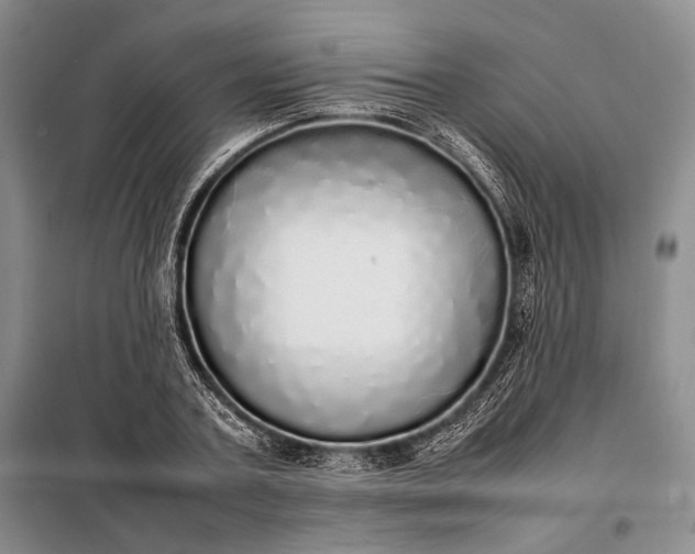 X0000098120787200804181519