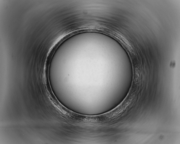 X0000098120788200804181519