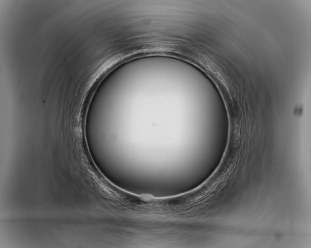 X0000098120789200804181519