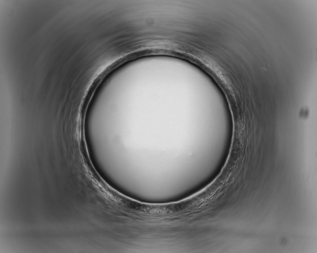 X0000098120791200804181519