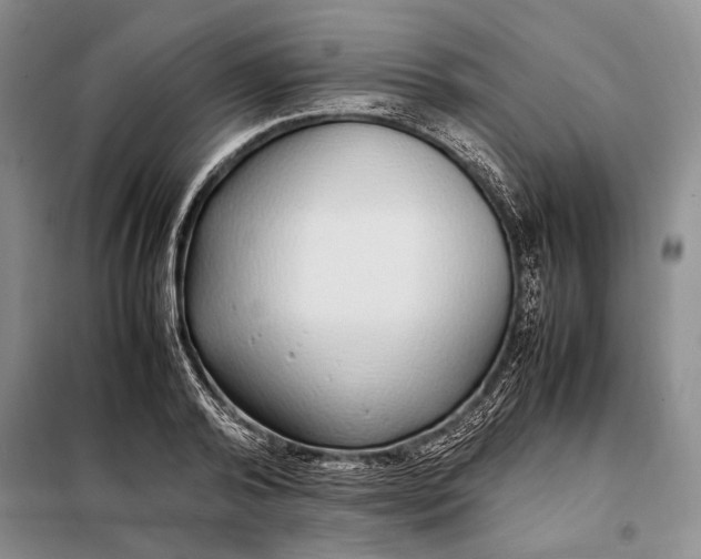 X0000098120792200804181519