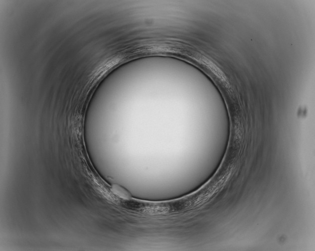 X0000098120793200804181519
