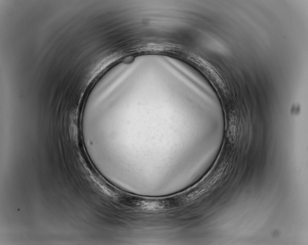 X0000098120794200804181519