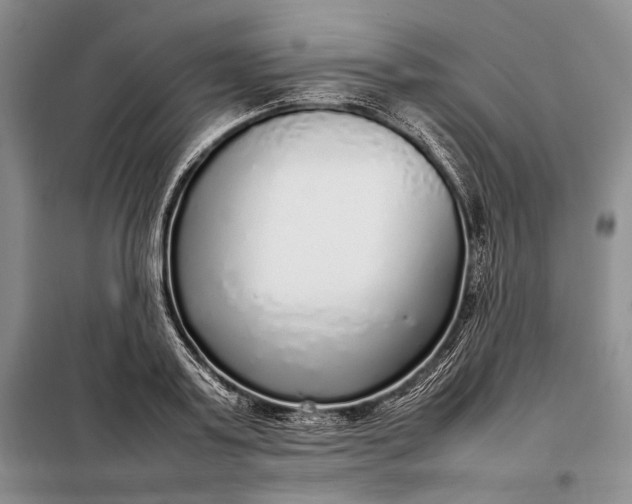 X0000098120795200804181519