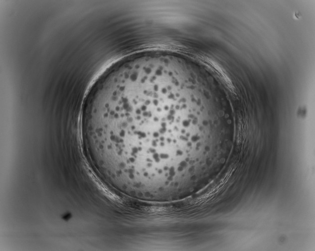 X0000098120796200804181519