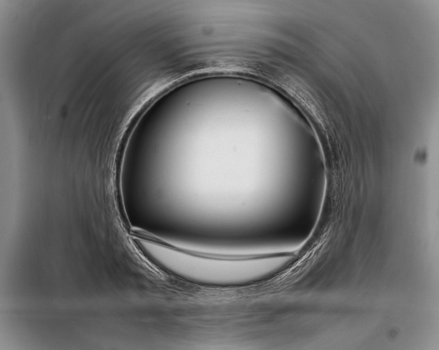 X0000098120797200804181519