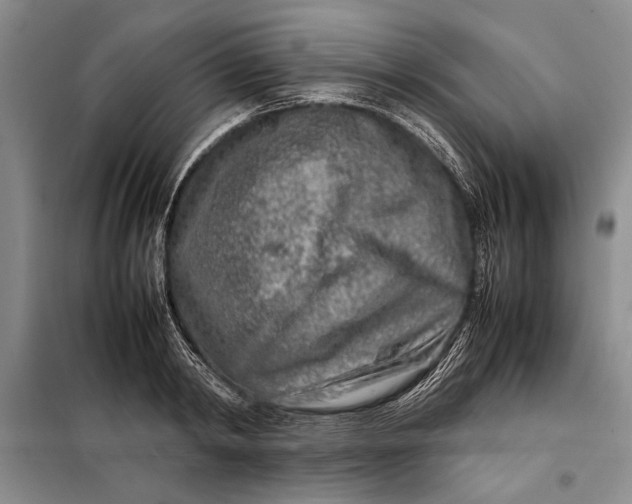 X0000098120798200804181519