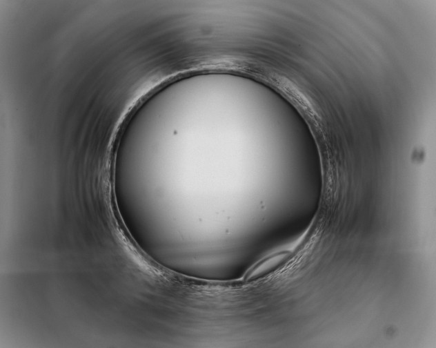 X0000098120800200804181519