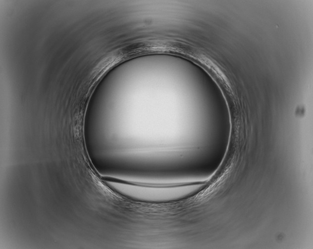 X0000098120801200804181519