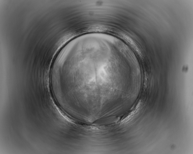 X0000098120802200804181519
