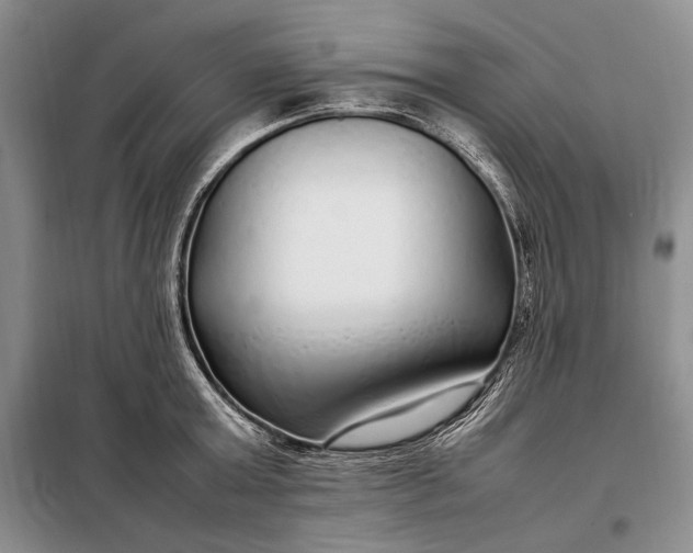X0000098120803200804181519