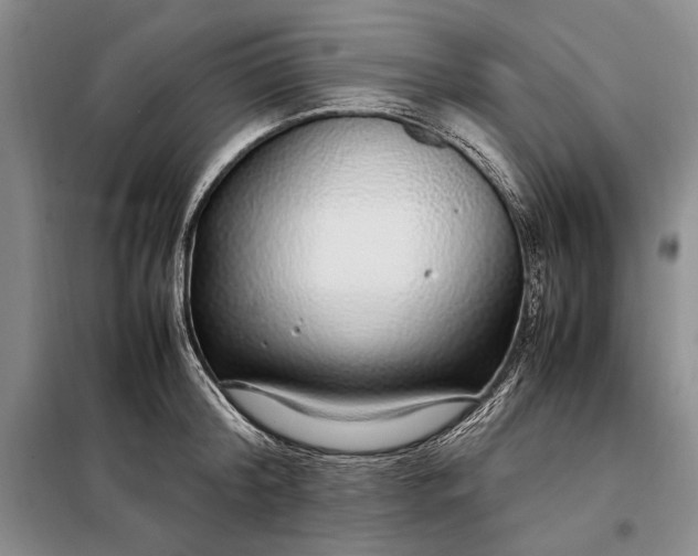 X0000098120804200804181519
