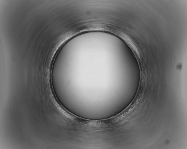 X0000098120805200804181519