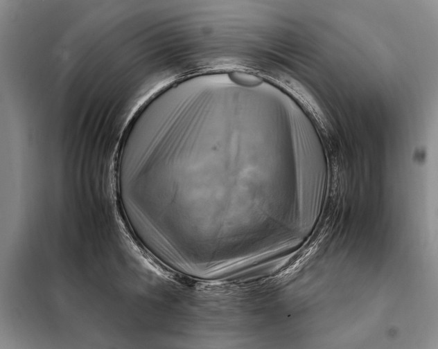 X0000098120806200804181519