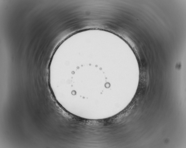 X0000098120807200804181519