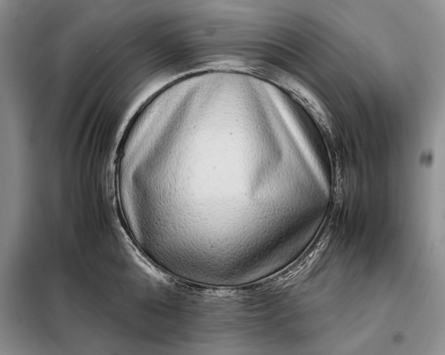 X0000098120808200804181519
