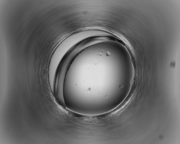 X0000098120809200804181519