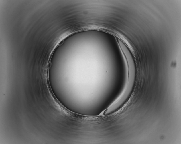 X0000098120810200804181519