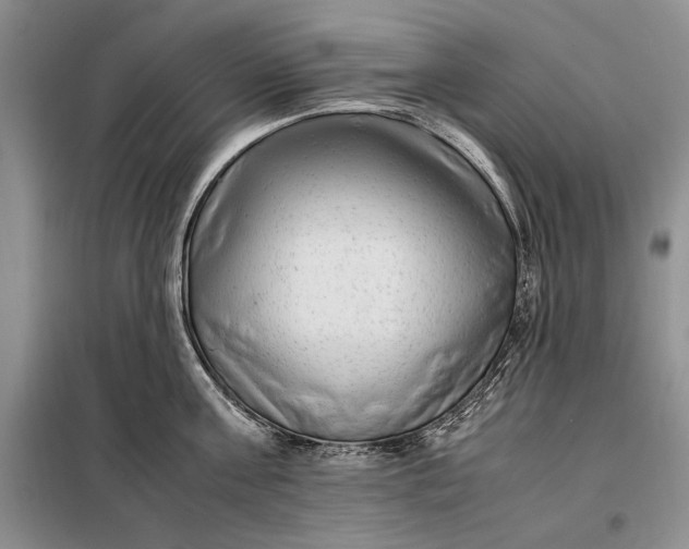 X0000098120811200804181519