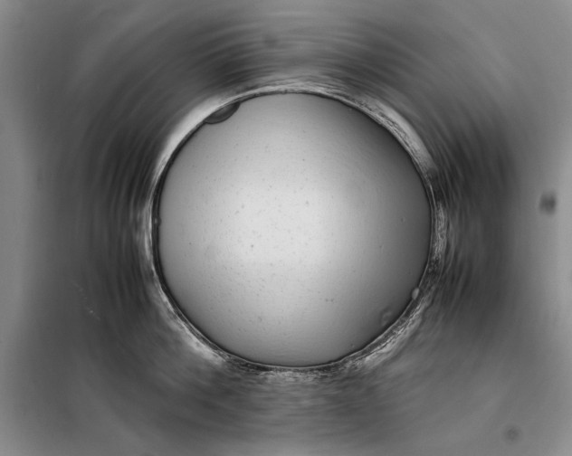 X0000098120812200804181519