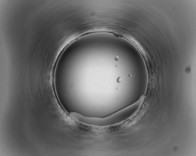 X0000098120813200804181519