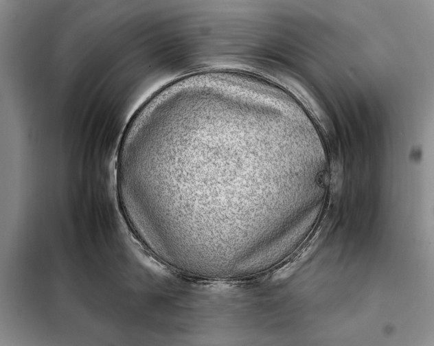 X0000098120814200804181519