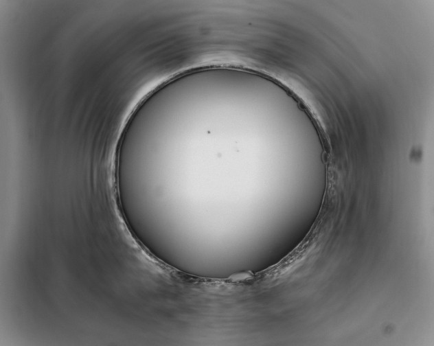 X0000098120815200804181519