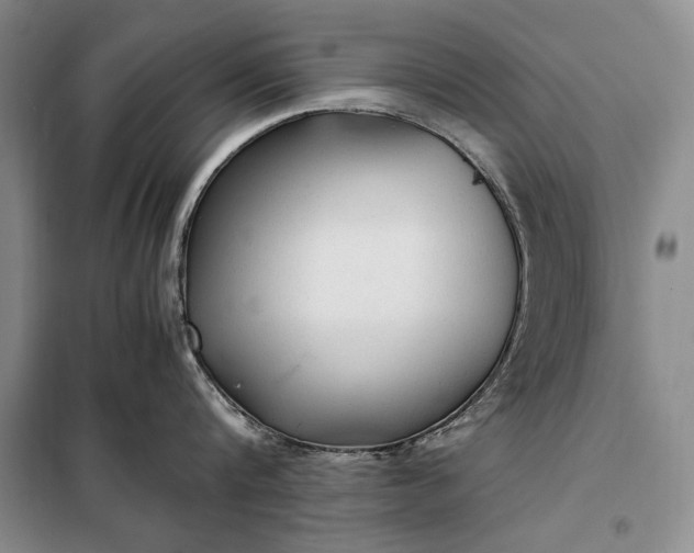 X0000098120816200804181519